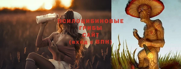 молекула духа Покровск