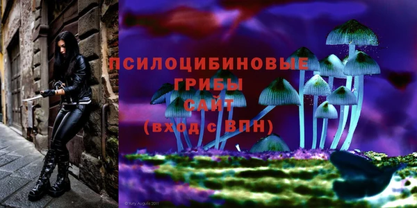 каннабис Ладушкин