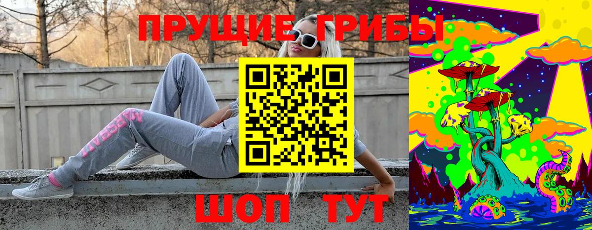 сколько стоит  Электрогорск  Псилоцибиновые грибы GOLDEN TEACHER 