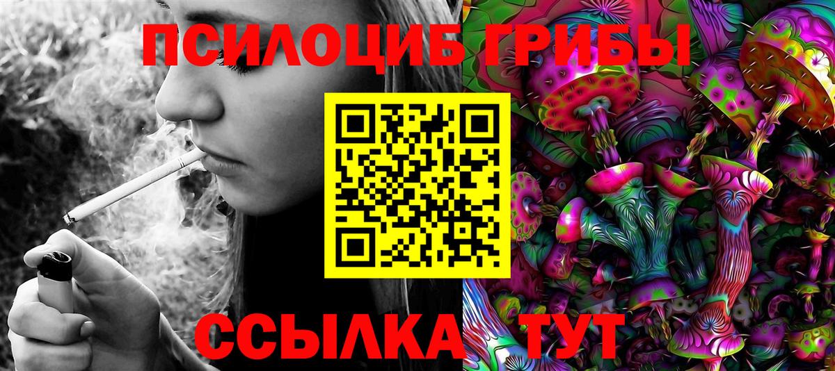 Электрогорск  где купить наркоту  Вход с VPN  Галлюциногенные грибы мицелий  Галлюциногенные грибы Psilocybine cubensis 