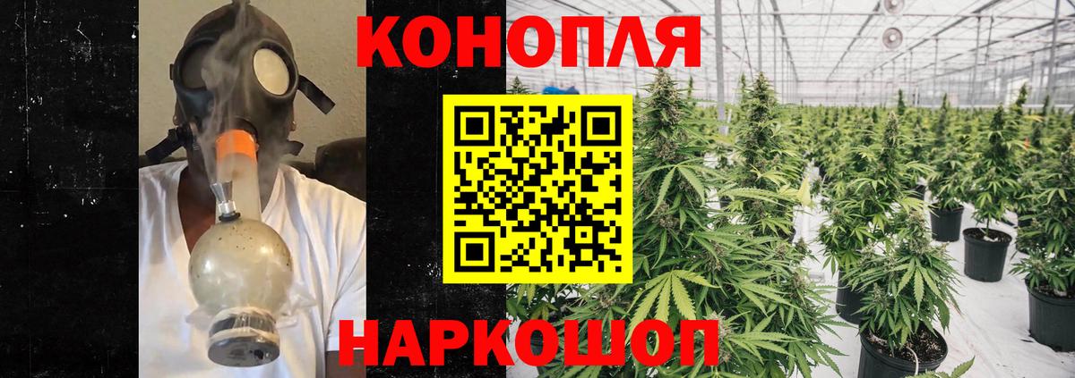 Конопля тримм  МАРИХУАНА SATIVA & INDICA  Шишки марихуана план  Электрогорск 